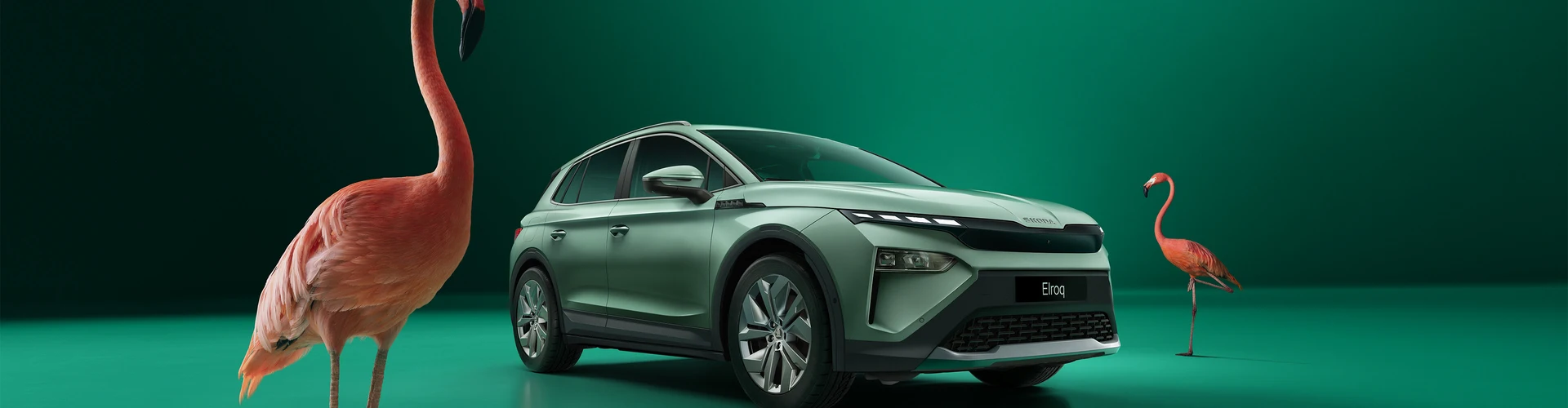 En läckert grön Skoda Elroq i grön studio med två flamingos