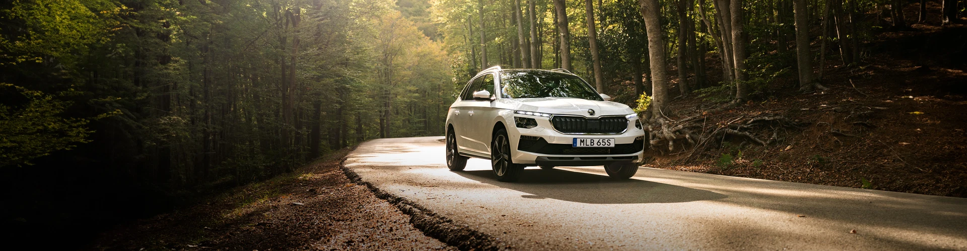 Skoda Kamiq kör på landsväg genom solig skog