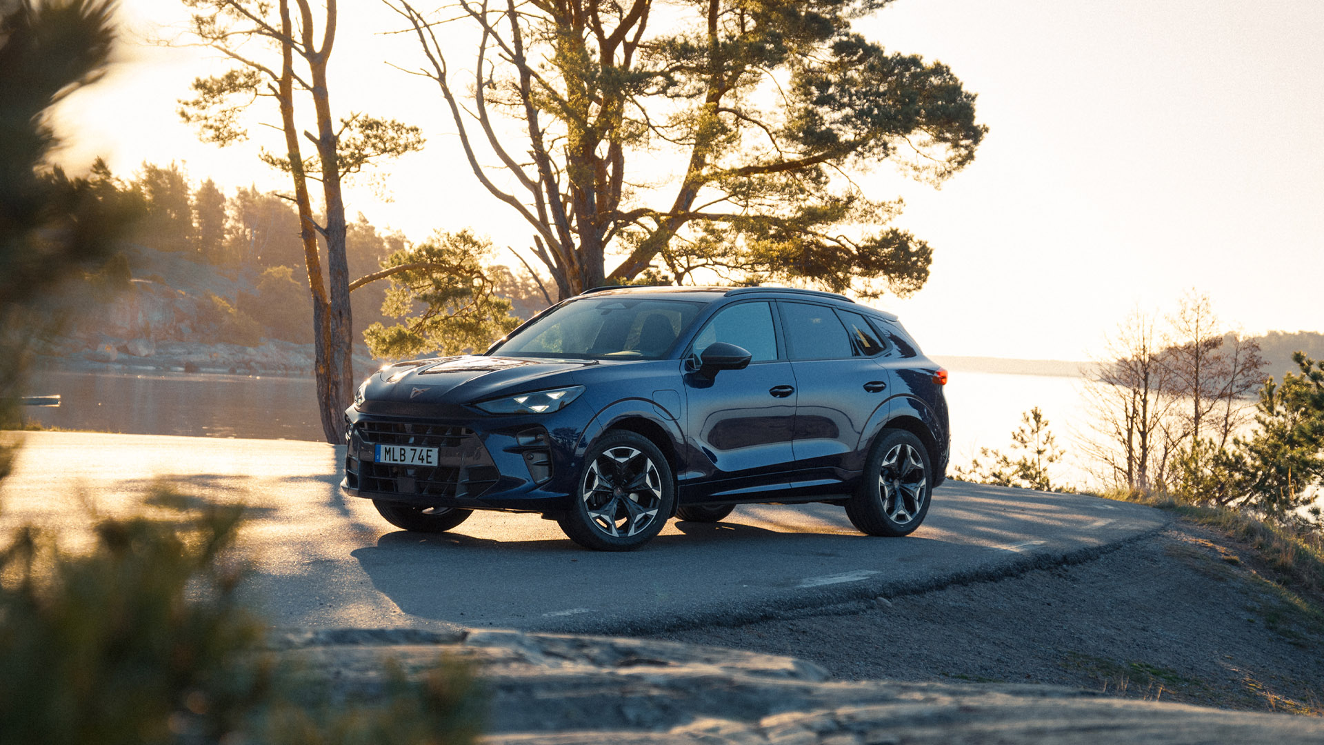Cupra Terramar Möller Bil Edition